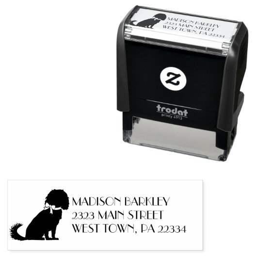 Tampon Auto-encreur Cavalier King Charles Spaniel Chien Chien Chien Ch (En situation)