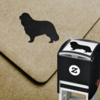 Cavalier King Charles Spaniel Chien race Silhouett
