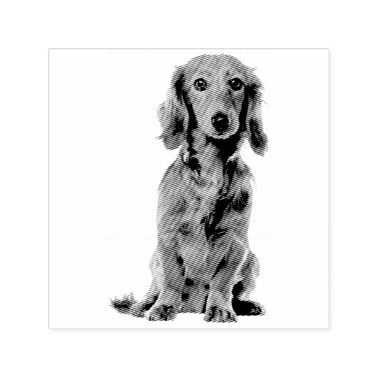 Tampon Auto-encreur Chien Chiot Cutest Coca (Design)