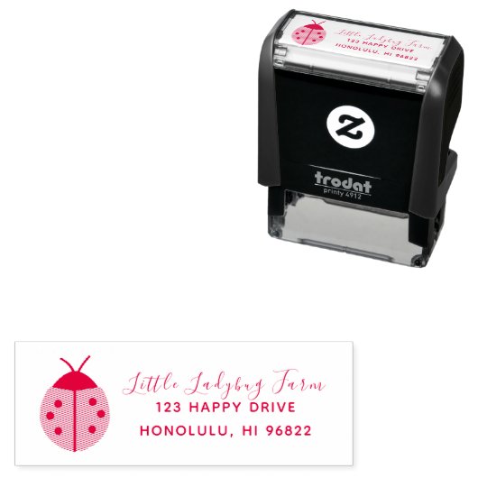 Tampon Auto-encreur Couleur do-it-yourself LADYBUG (En situation)