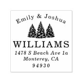 Tampon Auto-encreur Custom Holiday Christmas Cards & Envelope address (Design)