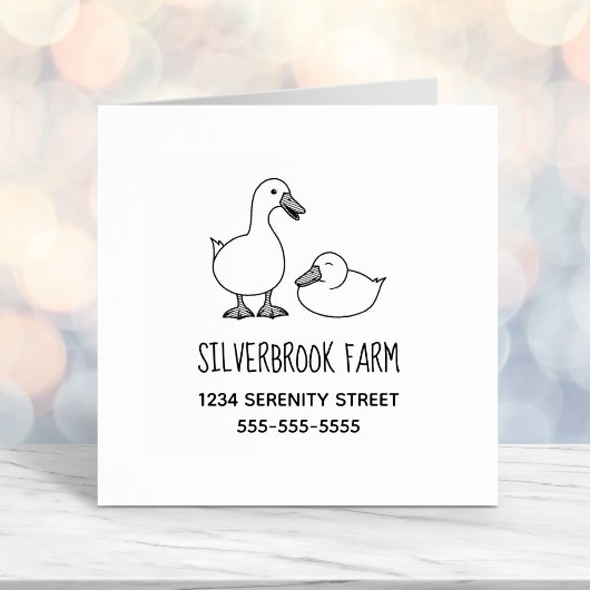 Tampon Auto-encreur Duck Goose Farm Adresse 2