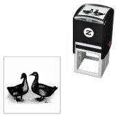 Tampon Auto-encreur Ducks : Cayuga Pair (En situation)