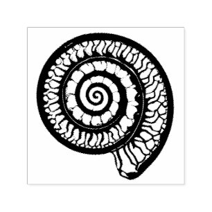 Tampon Auto-encreur Fossil d'ammonite - Coquillage de la spirale