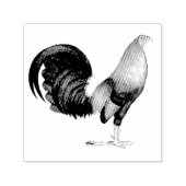 Tampon Auto-encreur Gamecock Red Hatch (Design)