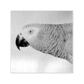 Tampon Auto-encreur Gorgeous African (Design)