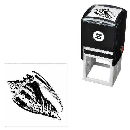 Tampon Auto-encreur Illustration Conch Shell (En situation)