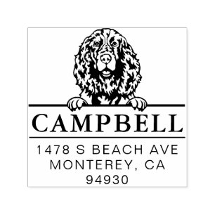 Tampon Auto-encreur Jote English Springer Espaniel Custom Dog Adresse