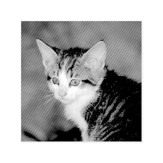 Tampon Auto-encreur Kitten (Design)