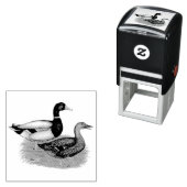 Tampon Auto-encreur Mallard Drake et Duck (En situation)