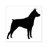 Tampon Auto-encreur Miniature Pinscher Chien race Silhouette (Design)