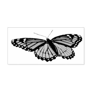 Tampon Auto-encreur Papillon Limenitis arthemis Photographie de la nat