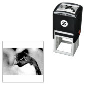 Tampon Auto-encreur Pingouin du sud de Rockhopper (En situation)