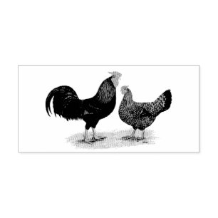 Tampon Auto-encreur Poulets Redcap
