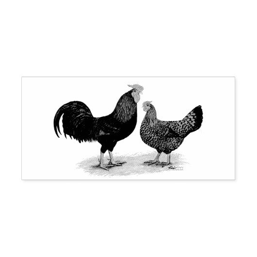 Tampon Auto-encreur Poulets Redcap (Design)