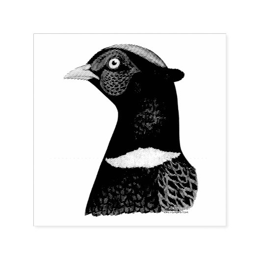 Tampon Auto-encreur Ringneck Pheasant Head (Design)