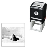 Tampon Auto-encreur Sceau léopard (En situation)