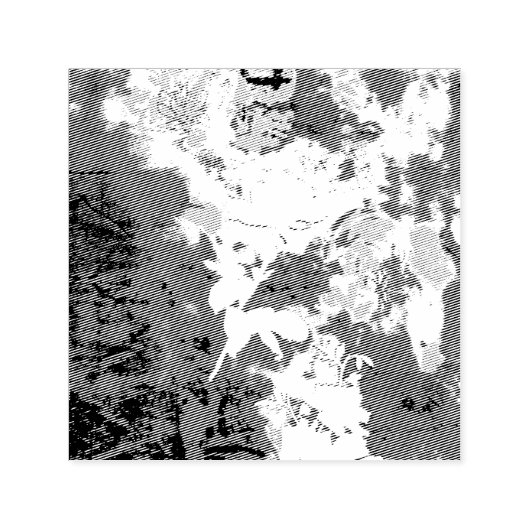 Tampon Auto-encreur Self Inking Rubber Stamp (Design)