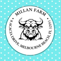 Thème Jote Angus Bull