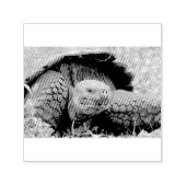 Tampon Auto-encreur Tortue géante (Design)