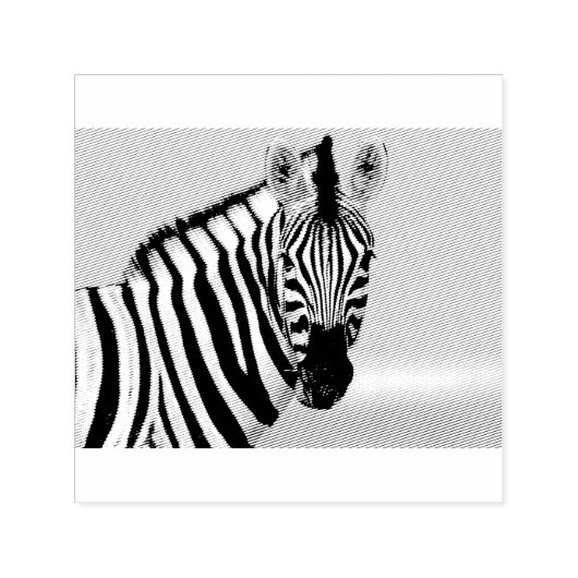 Tampon Auto-encreur Zebra looking at you (Design)