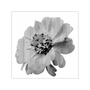 Tampon Auto-encreur Zinnia Orange Fleur Sauvage Floral Nature