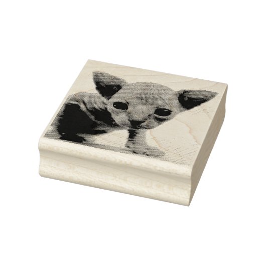 TAMPON CHATON SPHYNX EN CAOUTCHOUC (Tampon)
