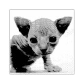 TAMPON CHATON SPHYNX EN CAOUTCHOUC (Impression)