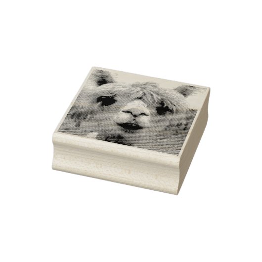 TAMPON DE CAOUTCHOUC ALPACA (Tampon)