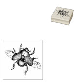 Tampon en caoutchouc avec coléoptère vintage (Tamponné)