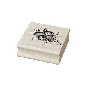 Tampon en caoutchouc avec le scarabée vintage