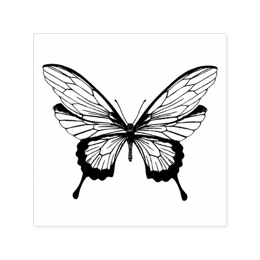 Tampon encreur papillon (Design)