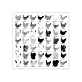 Tampons Encreurs 49 poules de poulet (Impression)