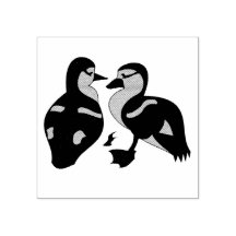 adorable Twin Baby Duckling Huddling Cartoon