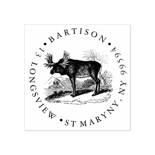 Tampons Encreurs ADRESSE DE RETOUR DE L'Oie (Impression)