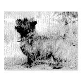 Tampons Encreurs Afficher la fille (Impression)