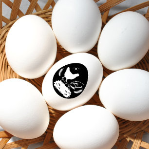 Tampons Encreurs Agritourisme Oeuf Carton Poulet de la ferme Oeufs