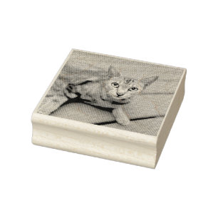 TAMPONS ENCREURS AJOUTER VOTRE PHOTO CAT PET CUSTOMISÉ POMPIER EN C