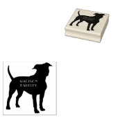 Tampons Encreurs American Staffordshire Pit taureau Chien Chien Chi (Tamponné)