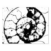 Tampons Encreurs ammonite de calcaire (Impression)
