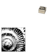 Tampons Encreurs ammonite Whitby (Tamponné)