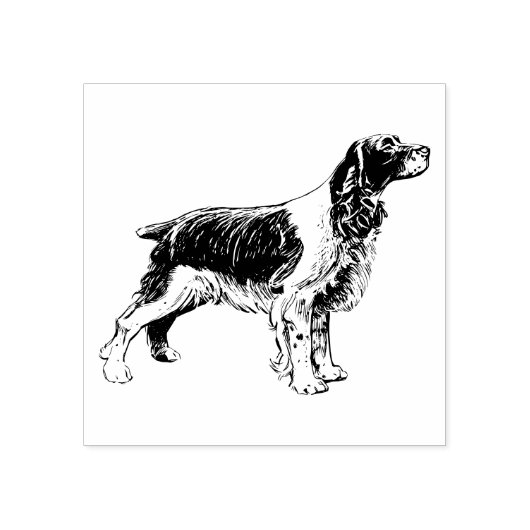 Tampons Encreurs Anglais Springer Spaniel Chien race (Impression)