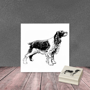 Tampons Encreurs Anglais Springer Spaniel Chien race