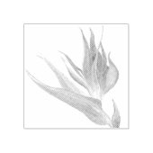 Tampons Encreurs Aquarelle Oiseau Tropical Du Paradis (Impression)