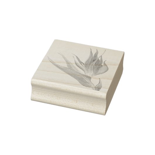 Tampons Encreurs Aquarelle Oiseau Tropical Du Paradis (Tampon)