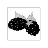Tampons Encreurs Baies-mûres d'été Blackberry Berry Berries (Impression)