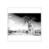 Tampons Encreurs Baobab dans le parc national des piscines de Mana, (Impression)