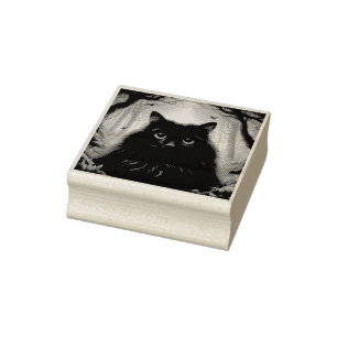 Tampons Encreurs Belle Fluffy Chat Noir avec les yeux