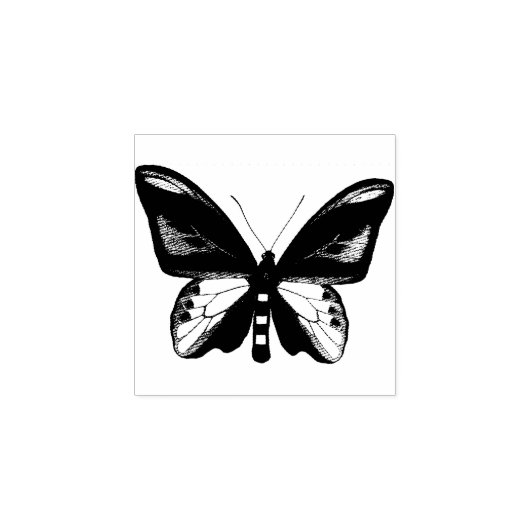 Tampons Encreurs Bogue d'insectes papillon illustration originale (Impression)