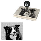 Tampons Encreurs Bordure Collie (Tamponné)